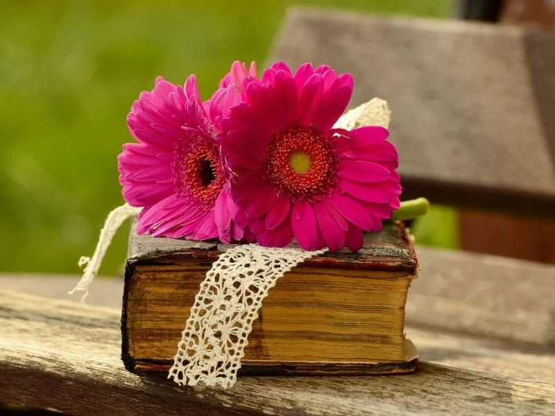 pink flowers setting on top of an old Bible