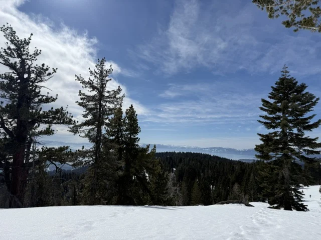Mountain View on Snowshoeing Event