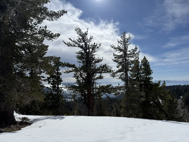 Snowshoeing in the Mountains
