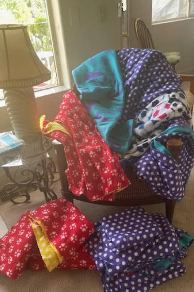 Quilts produced by the SYNC Nifty Needles Group