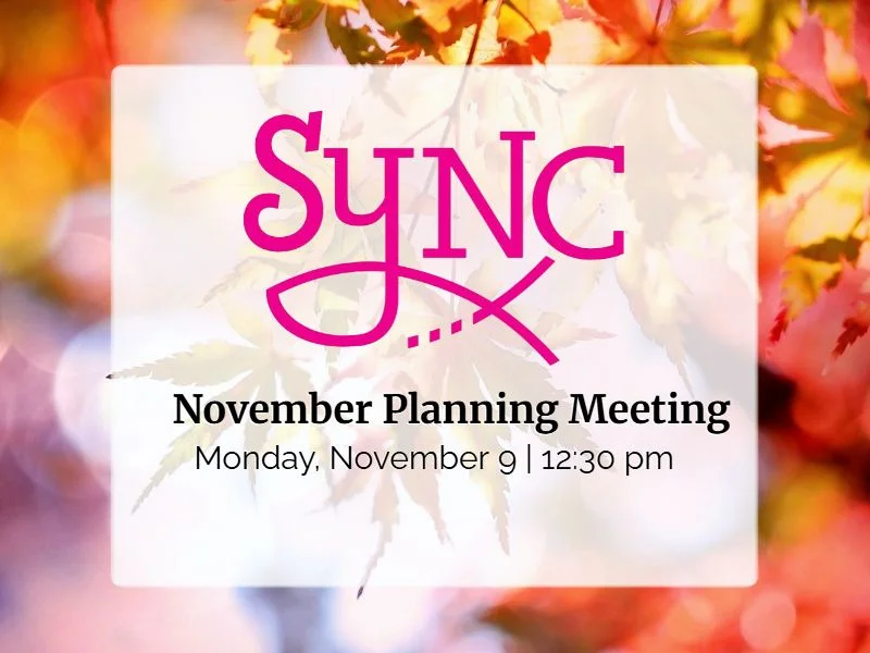 SYNC November Meeting