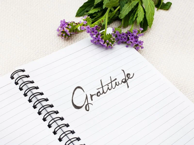 gratitude written in a journal with purple flowers