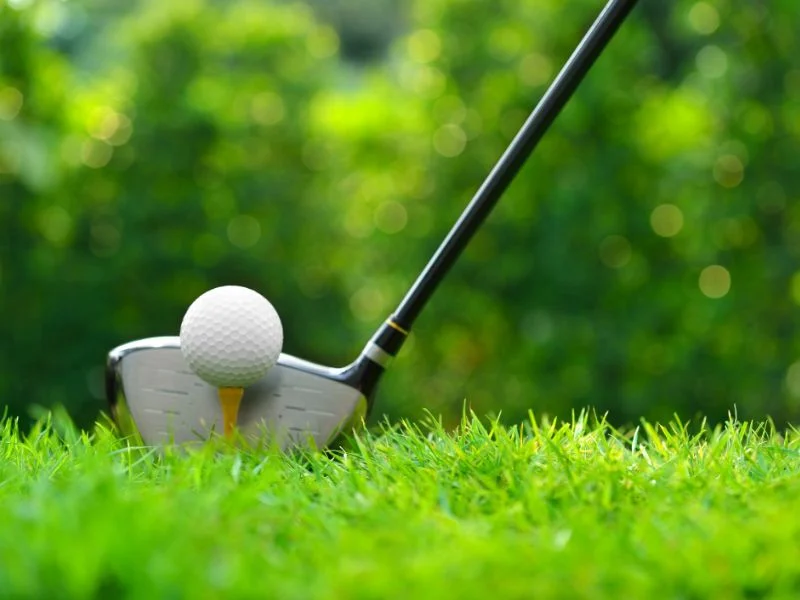 golf club and golf ball in the grass